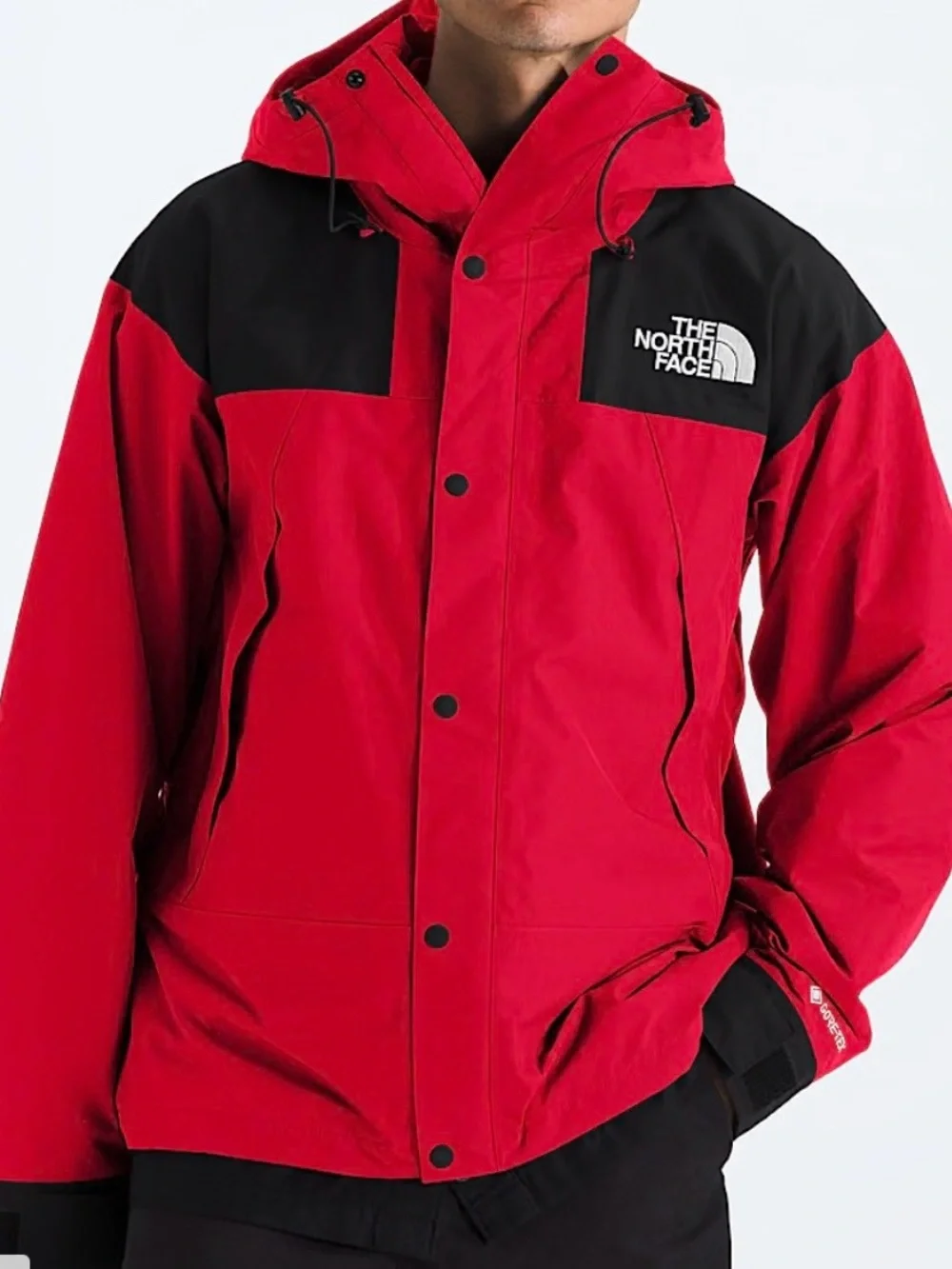 The North Face north face